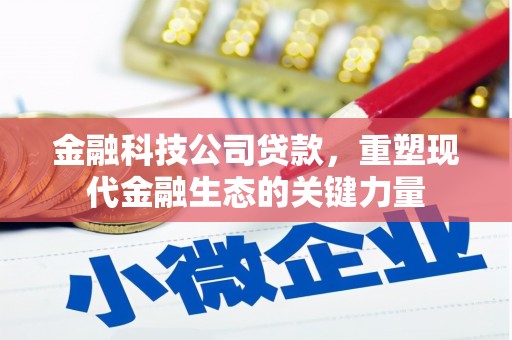 阜沙金融科技公司贷款，重塑现代金融生态的关键力量