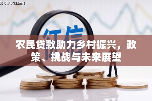 阜沙农民贷款助力乡村振兴，政策、挑战与未来展望