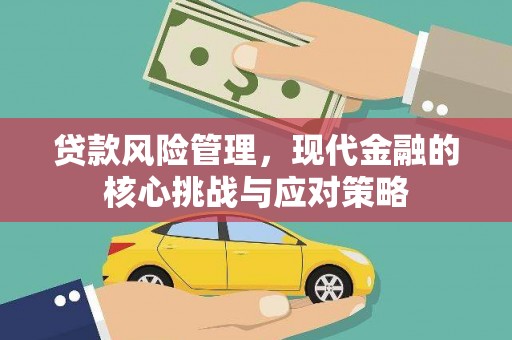 阜沙贷款风险管理，现代金融的核心挑战与应对策略