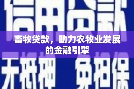 阜沙畜牧贷款，助力农牧业发展的金融引擎