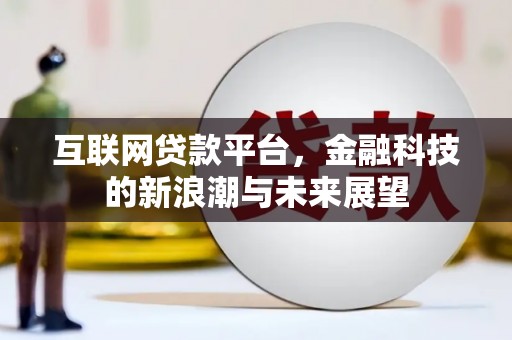 阜沙互联网贷款平台，金融科技的新浪潮与未来展望