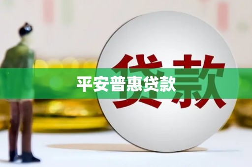 阜沙平安普惠贷款