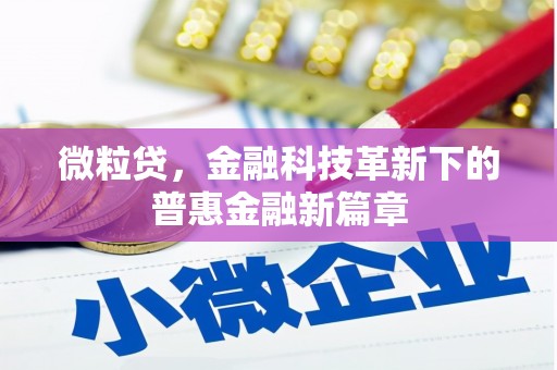 阜沙微粒贷，金融科技革新下的普惠金融新篇章