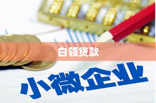 阜沙白领贷款