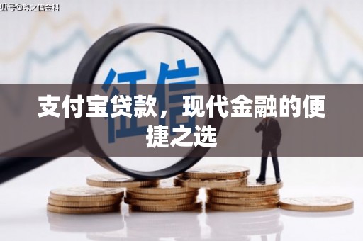 阜沙支付宝贷款，现代金融的便捷之选