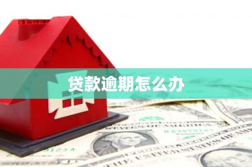 阜沙贷款逾期怎么办
