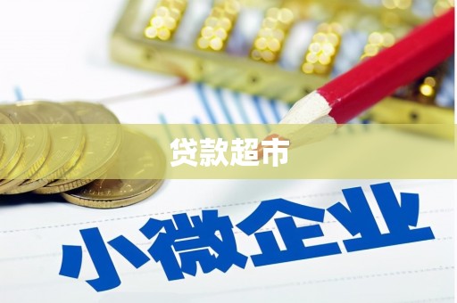阜沙贷款超市