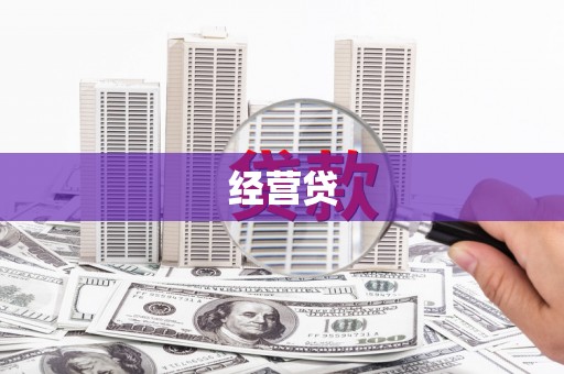 阜沙经营贷