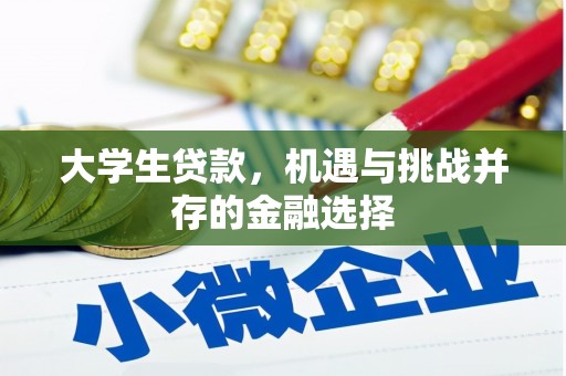 阜沙大学生贷款，机遇与挑战并存的金融选择