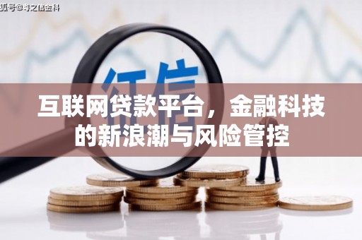 阜沙互联网贷款平台，金融科技的新浪潮与风险管控
