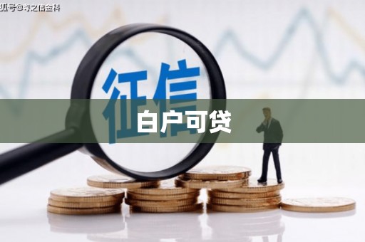 阜沙白户可贷