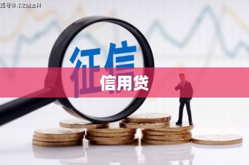 阜沙信用贷