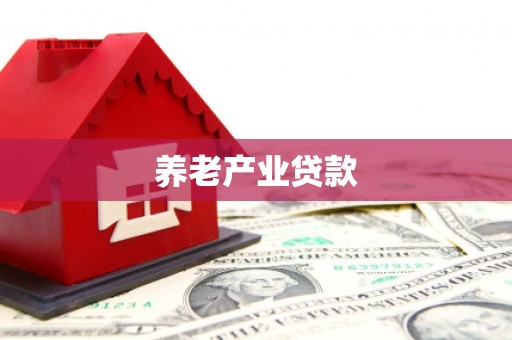 阜沙养老产业贷款