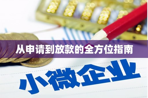 阜沙从申请到放款的全方位指南