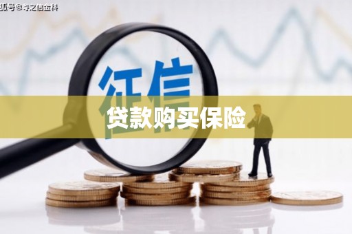 阜沙贷款购买保险