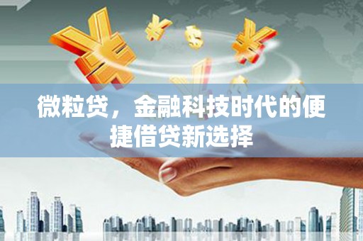 阜沙微粒贷，金融科技时代的便捷借贷新选择
