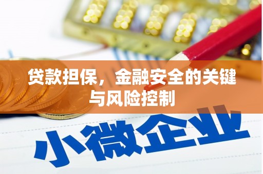 阜沙贷款担保，金融安全的关键与风险控制