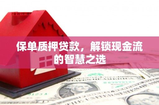 阜沙保单质押贷款，解锁现金流的智慧之选