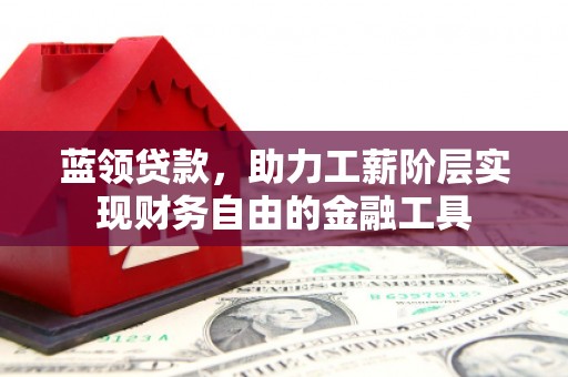 阜沙蓝领贷款，助力工薪阶层实现财务自由的金融工具