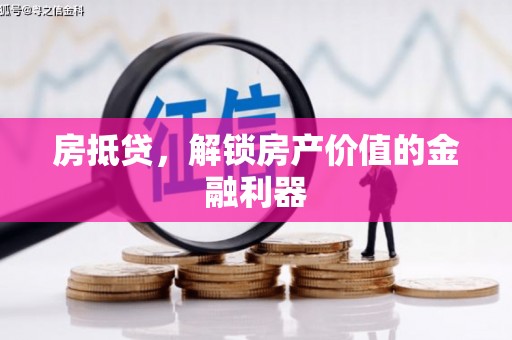 阜沙房抵贷，解锁房产价值的金融利器