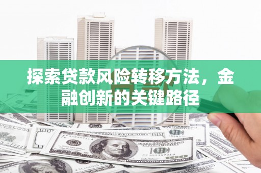 阜沙探索贷款风险转移方法，金融创新的关键路径
