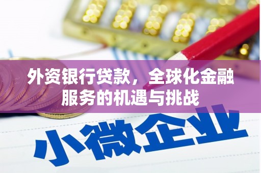 阜沙外资银行贷款，全球化金融服务的机遇与挑战