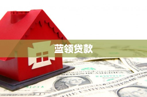 阜沙蓝领贷款