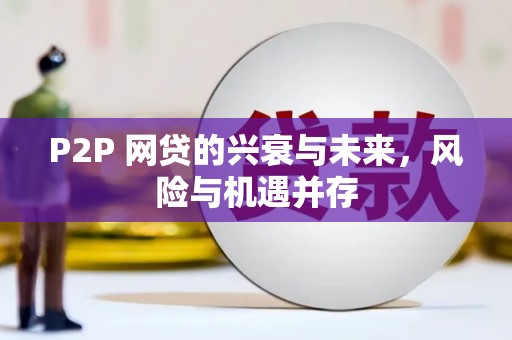 阜沙P2P 网贷的兴衰与未来，风险与机遇并存