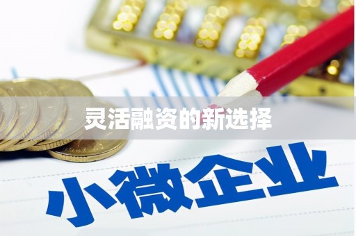 阜沙灵活融资的新选择