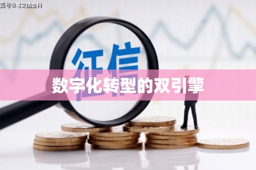 阜沙数字化转型的双引擎
