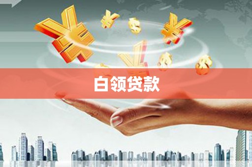阜沙白领贷款