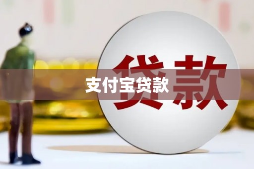 阜沙支付宝贷款
