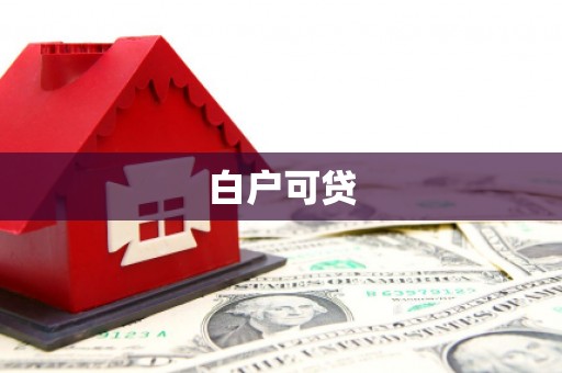 阜沙白户可贷