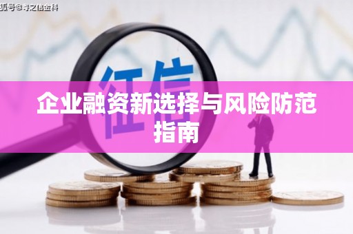 阜沙企业融资新选择与风险防范指南