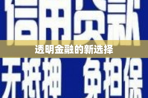 阜沙透明金融的新选择