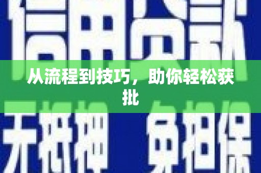 阜沙从流程到技巧，助你轻松获批