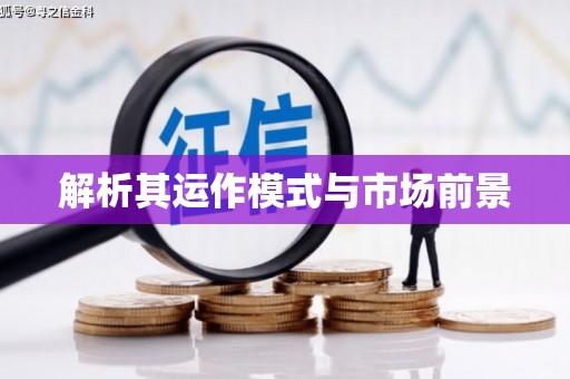 阜沙解析其运作模式与市场前景