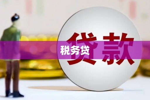 阜沙税务贷