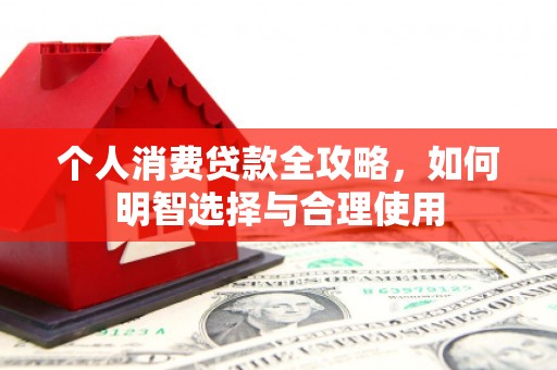 阜沙个人消费贷款全攻略，如何明智选择与合理使用