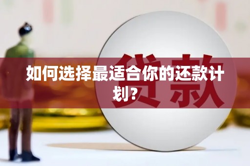 阜沙如何选择最适合你的还款计划？