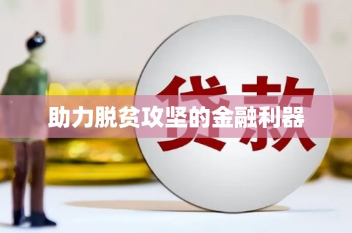 阜沙助力脱贫攻坚的金融利器